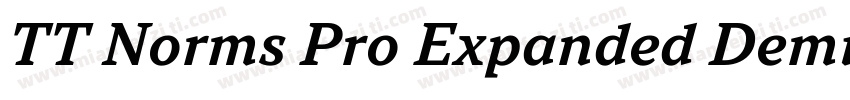 TT Norms Pro Expanded DemiBold Ital字体转换